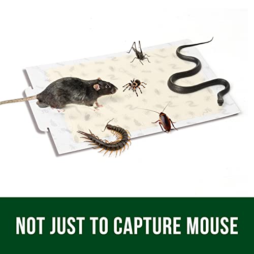 Garsum 6 Pack Mouse Traps Indoor Sticky Glue Board for Mice Roach Spiders Snakes Pest Trap