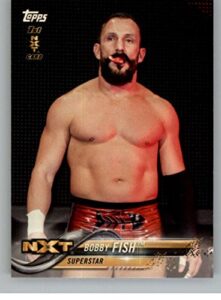 2018 topps wrestling wwe #15 bobby fish first nxt card sports card