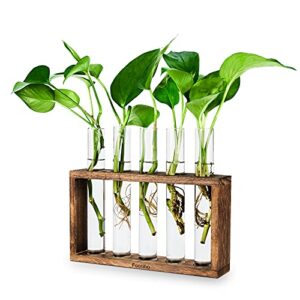 foosibo plant terrarium with wooden stand, wall hanging glass planter propagation stations flower bud vase with 5 test tubes, tabletop glass terrarium for propagating hydroponics plants (5 tubes)