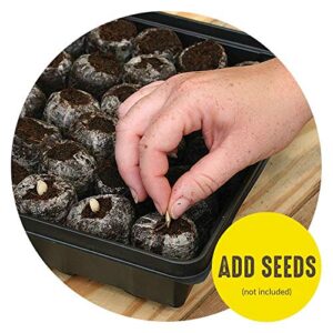 Jiffy 36 Peat Pellet Seed Starting Greenhouse Bundle (Pack of 2)