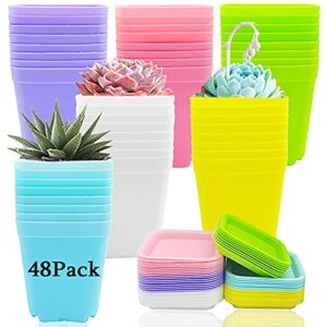 haawooky 48 pack 3 inch colorful plastic plant pot,plastic square nursery pots,seedling nursery pots with saucers for garden,home,office,balcony decor,garden gifts