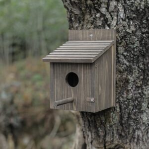 NATUREYLWL Wooden Bird House Wood Bird House for Outside with Pole for Finch, Bluebird, Cardinals, Hanging Birdhouse Garden Country Cottages