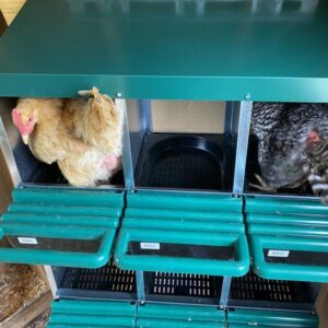 Homestead Essentials 3 Compartment Roll Out Nesting Box for Chickens | Heavy Duty Chicken Coop Nesting Box with Lid Cover to Protect Eggs (with Perch) | for Up to 15 Hens