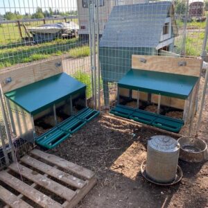 Homestead Essentials 3 Compartment Roll Out Nesting Box for Chickens | Heavy Duty Chicken Coop Nesting Box with Lid Cover to Protect Eggs (with Perch) | for Up to 15 Hens