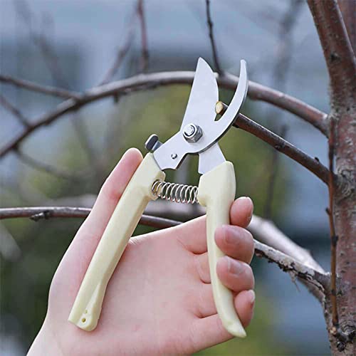 spdtech Curve Garden Scissor ,Sharp Garden Shears for Cutting Flowers,Trimming Plants, Bonsai, Fruits Picking White