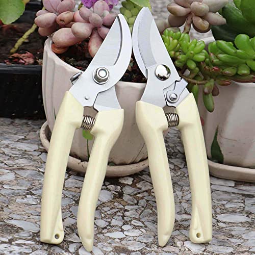 spdtech Curve Garden Scissor ,Sharp Garden Shears for Cutting Flowers,Trimming Plants, Bonsai, Fruits Picking White