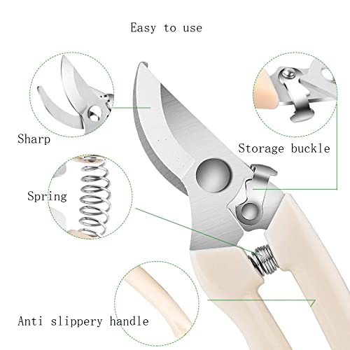 spdtech Curve Garden Scissor ,Sharp Garden Shears for Cutting Flowers,Trimming Plants, Bonsai, Fruits Picking White