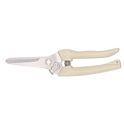 spdtech Straight Garden Scissors Sharp Garden Shears for Cutting Flowers Trimming Plants Bonsai Fruits Picking White