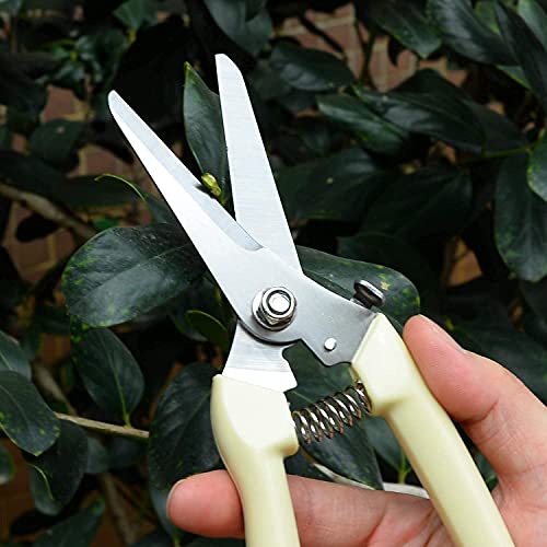 spdtech Straight Garden Scissors Sharp Garden Shears for Cutting Flowers Trimming Plants Bonsai Fruits Picking White