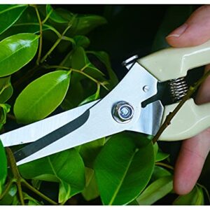 spdtech Straight Garden Scissors Sharp Garden Shears for Cutting Flowers Trimming Plants Bonsai Fruits Picking White