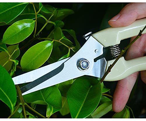 spdtech Straight Garden Scissors Sharp Garden Shears for Cutting Flowers Trimming Plants Bonsai Fruits Picking White