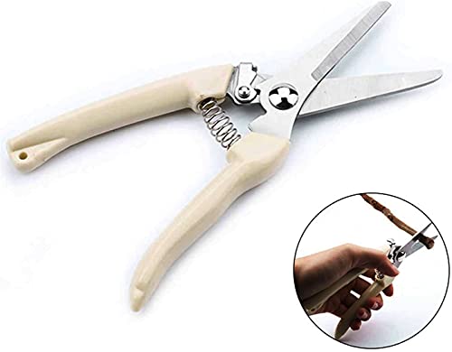 spdtech Straight Garden Scissors Sharp Garden Shears for Cutting Flowers Trimming Plants Bonsai Fruits Picking White