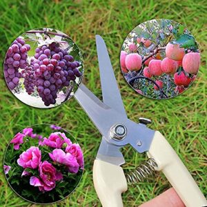 spdtech Straight Garden Scissors Sharp Garden Shears for Cutting Flowers Trimming Plants Bonsai Fruits Picking White