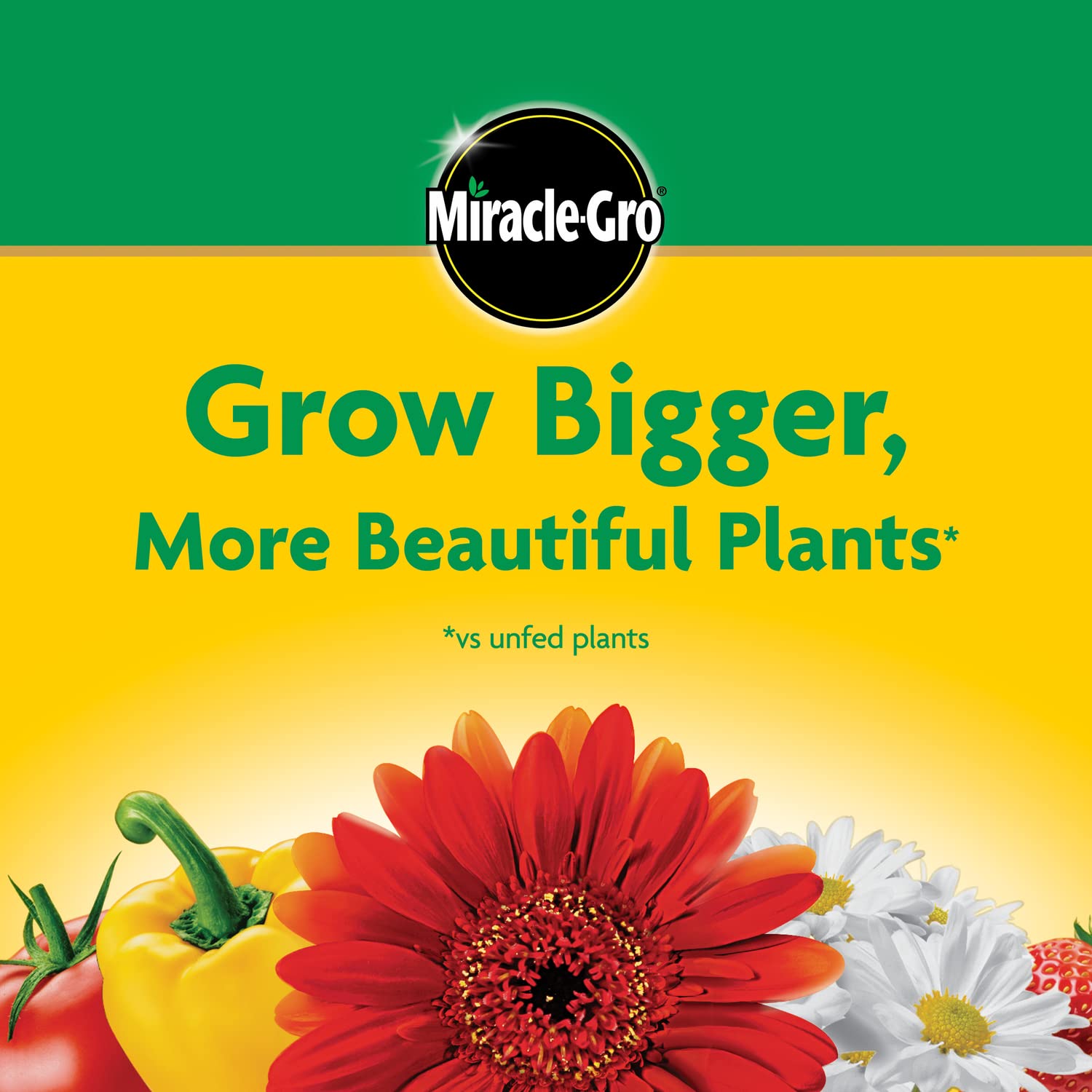 Miracle-Gro Water Soluble All Purpose Plant Food, 24-8-16, Instantly Fertilizes Plants, Waterproof Bag - 5.5 lb., 2-Pack
