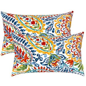 lvtxiii outdoor lumbar pillow covers, patio decorative lumbar pillow cases only, fluffy fade-resistant lumbar cushion cases for home balcony and garden, 12x20 inch, pack of 2, paisley multi
