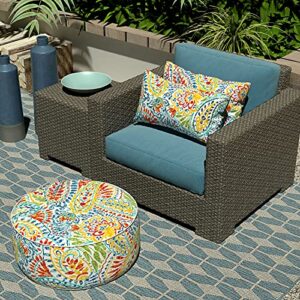 LVTXIII Outdoor Lumbar Pillow Covers, Patio Decorative Lumbar Pillow Cases ONLY, Fluffy Fade-Resistant Lumbar Cushion Cases for Home Balcony and Garden, 12x20 Inch, Pack of 2, Paisley Multi