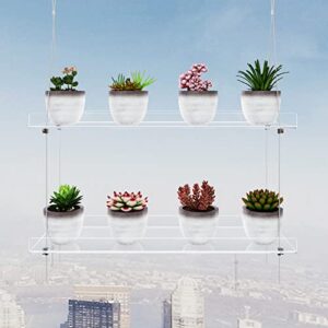 Clear Hanging Window Plant Shelves, Indoor Windows Wall Hanging Plant Stand Flower Display, Flower Pot Organizer Storage for Window Grow Herbs