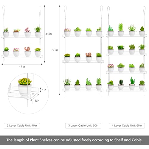 Clear Hanging Window Plant Shelves, Indoor Windows Wall Hanging Plant Stand Flower Display, Flower Pot Organizer Storage for Window Grow Herbs