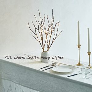 Birchlitland Lighted Brown Branches 18IN 70L Warm White Fairy Lights, LED Willow Branch Lights with Timer Battery Operated for Home Bedroom Living Room Vase Decoration