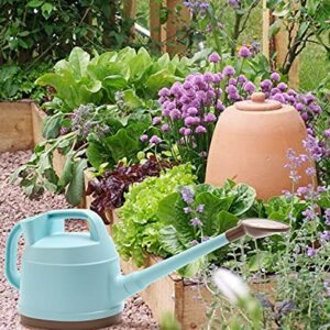 SAROSORA Outdoor Watering Can 0.9 Gallon Long Spout with Detachable Shower Head for Garden Flowers Plants (Blue, 3.3L/0.9GAL)