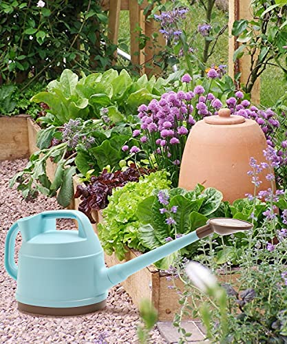 SAROSORA Outdoor Watering Can 0.9 Gallon Long Spout with Detachable Shower Head for Garden Flowers Plants (Blue, 3.3L/0.9GAL)