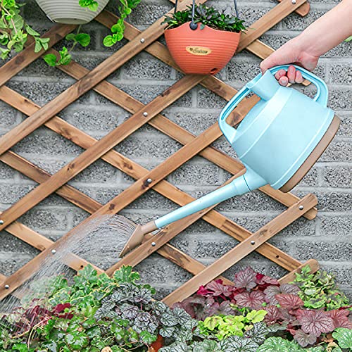 SAROSORA Outdoor Watering Can 0.9 Gallon Long Spout with Detachable Shower Head for Garden Flowers Plants (Blue, 3.3L/0.9GAL)