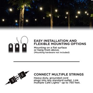 Enbrighten Classic LED Café String Lights, 18ft, 9 Acrylic Bulbs, Indoor/Outdoor + UltraPro Wi-Fi Plug, 2-Outlet Grounded