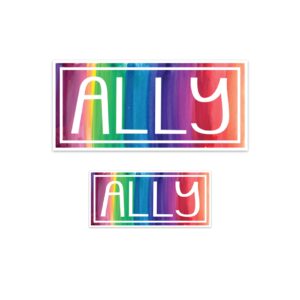 set of 2 pride ally stickers, ally stickers, pride stickers, pride sticker set, equality stickers, equal rights stickers, gay pride stickers, lgbt ally stickers