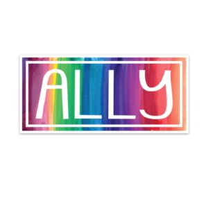 Set of 2 Pride Ally Stickers, Ally Stickers, Pride Stickers, Pride Sticker Set, Equality Stickers, Equal Rights Stickers, Gay Pride Stickers, LGBT Ally Stickers