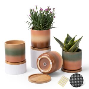 tamaykim 4 inch cylinder ceramic plant pots with drainage hole and bamboo saucers, small glazed gradient colors flower pot with trays for indoor planter, succulent, cactus and herbs, set of 4