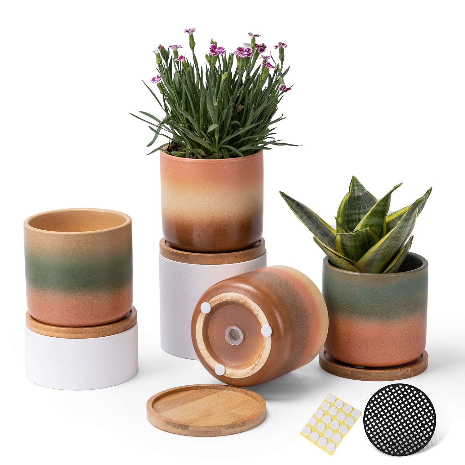 TAMAYKIM 4 Inch Cylinder Ceramic Plant Pots with Drainage Hole and Bamboo Saucers, Small Glazed Gradient Colors Flower Pot with Trays for Indoor Planter, Succulent, Cactus and Herbs, Set of 4