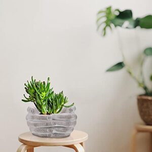 Cabilock Palm Planter Concrete Plant Pots Decorative Succulent Pot Bonsai Plants Flower Pots Tiny Desk Flower Planter Floor Vase Desk Aloe Planter Body Bud Vase Aloe Vera Human Body Cement