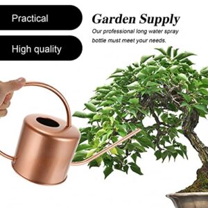 Watering can Spout Watering Pot Plant misting Water Bottle Kids Watering Spray Bottle Water Pitcher for Plants Kettle with Long Spout Child Outdoor Stainless Steel Succulent Plants