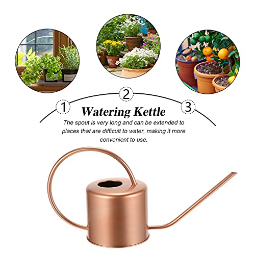 Watering can Spout Watering Pot Plant misting Water Bottle Kids Watering Spray Bottle Water Pitcher for Plants Kettle with Long Spout Child Outdoor Stainless Steel Succulent Plants