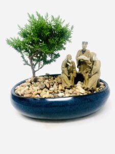 juniper bonsai tree with three master's reunion ceramic pot