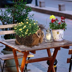 Garneck 1pc Owl Flower Basket Owl Bonsai Pot Rattan Basket Rustic Pots Micro Landscape Pots Wedding Table Centerpiece Animal Flower Outdoor Wall Natural Coco Replacement Liner Coir Plant