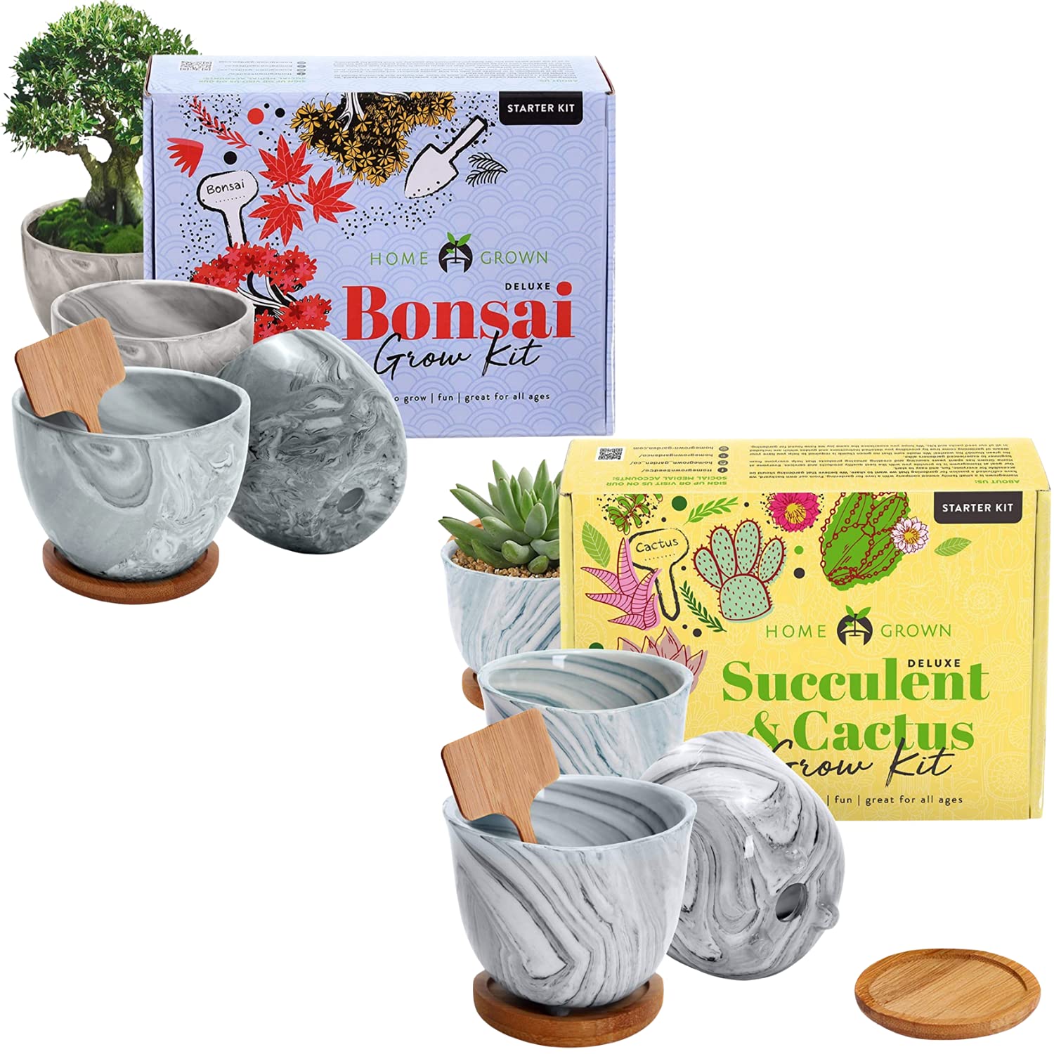 Premium Bonsai Tree and Deluxe Succulent & Cactus Seed Starter Kit - Includes a Grow Guide