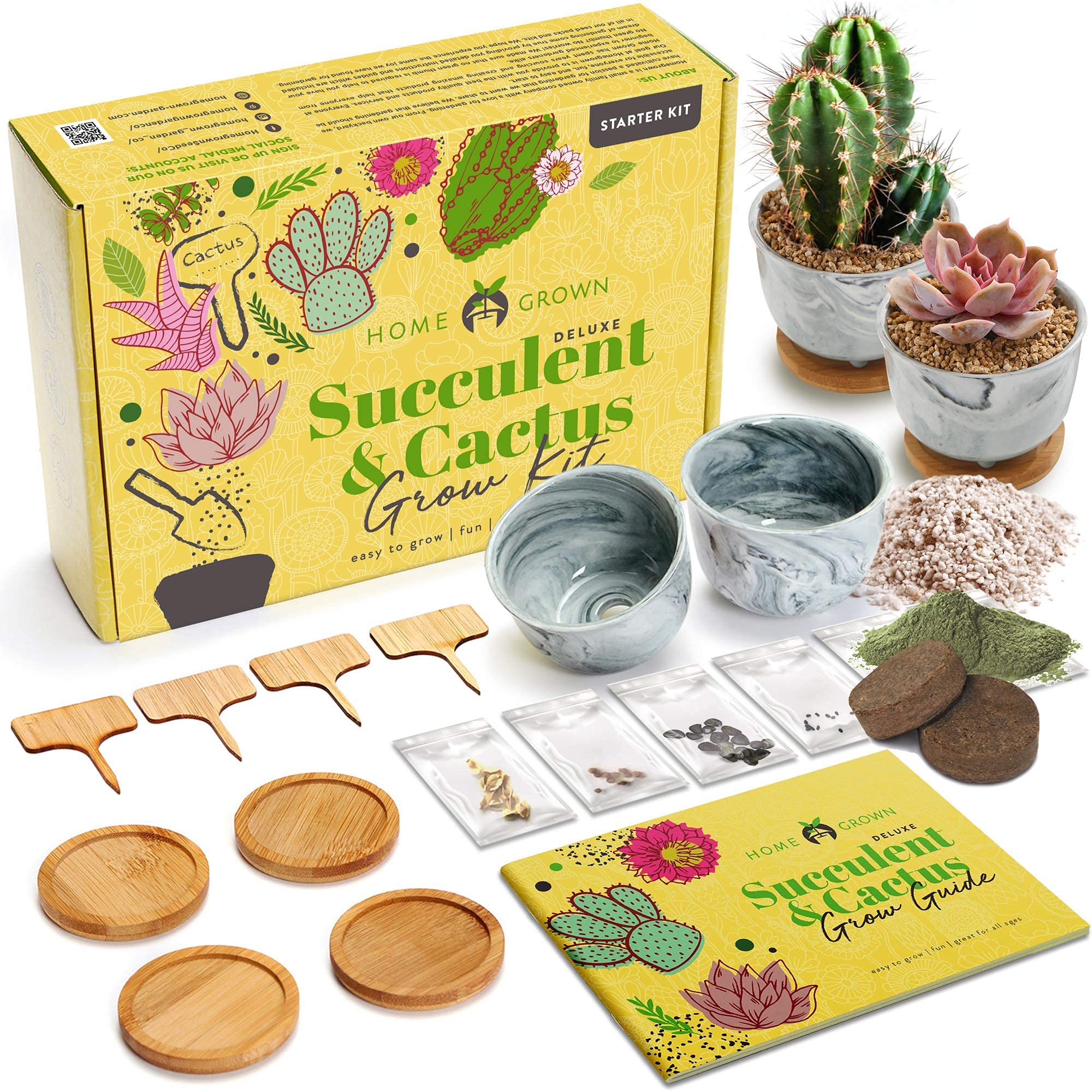 Premium Bonsai Tree and Deluxe Succulent & Cactus Seed Starter Kit - Includes a Grow Guide