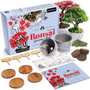 Premium Bonsai Tree and Deluxe Succulent & Cactus Seed Starter Kit - Includes a Grow Guide