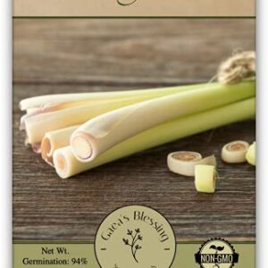 Gaea's Blessing Seeds - Lemongrass Seeds - Non-GMO Seeds with Easy to Follow Planting Instructions - Untreated and Open Pollinated Lemon Grass - 83% Germination Rate