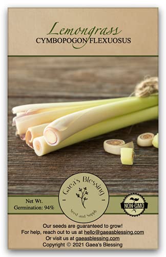 Gaea's Blessing Seeds - Lemongrass Seeds - Non-GMO Seeds with Easy to Follow Planting Instructions - Untreated and Open Pollinated Lemon Grass - 83% Germination Rate