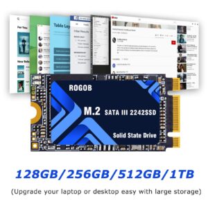 ROGOB 1TB M.2 SATA SSD 2242 NGFF B&M Key Internal Solid State Drive 6Gb/s for Desktop Laptop PC