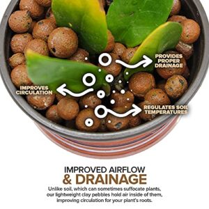 Stock Your Home 5Lbs LECA Balls Expanded Clay Pebbles Hydroponics Soil Supplies for Indoor Garden Plants - Organic Aquaponics Grow Media Drainage Layer Terrarium