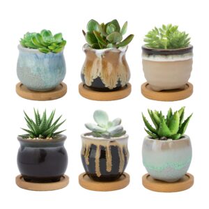 warmplus small succulent plant pots - mini ceramic cactus planter pots with drainage, flowing glaze base serial set with holes, home, office decor, pack of 6 (plants not included)