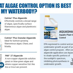 Cutrine Plus Algaecide and Bacti-Klear