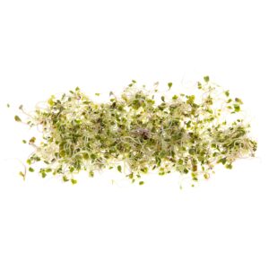 Broccoli Seeds for Sprouting & Microgreens | Calabrese Variety | Non GMO & Heirloom Seeds | Bulk 1 LB Resealable Bag | Rainbow Heirloom Seed Co.