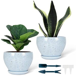 siyzda 2 pack ceramic plant pots - 5 inch flower pots with porcelain tray modern simple style plant pots for outdoor/indoor plants, flowers, succulents, cactus