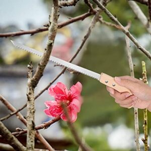 Bonsai Saw Narrow Small Tooth Saw Tree Saw Narrow for fruit trees