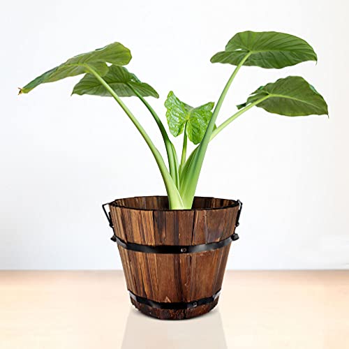 Yardwe Forest Bark Bonsai Tree Pot 2pcs Rustic Wooden Whiskey Barrels Bucket Wooden Flower Bucket Wooden Plant Pot Outdoor Plant Container Farmhouse Decor Succulent Plant Pot