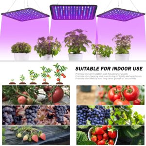 SERWING Grow Light for Indoor Plants 200W LED Plant Growing Lamp for Indoor Cultivation, Greenhouse, Grow Tent, Hydroponics (Full Spectrum)